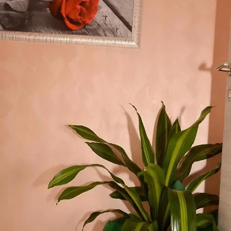 Bed & Breakfast Italy
